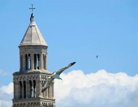 Damjan * Split