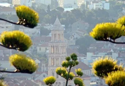 Damjan * Split