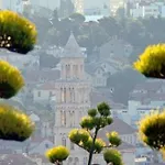 Damjan * Split