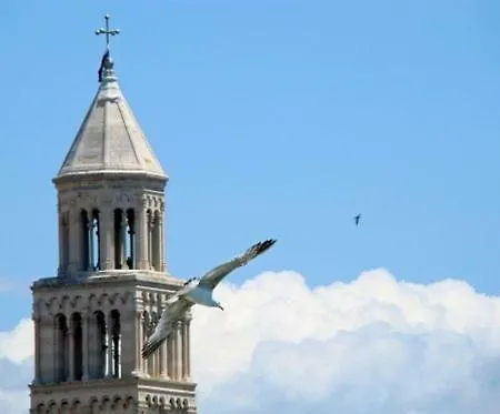 Damjan * 斯普利特