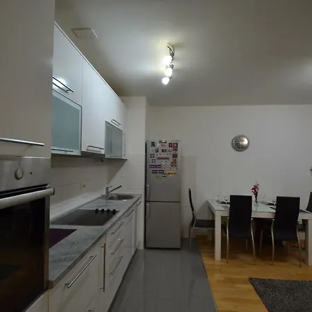 Apartment Damjan *