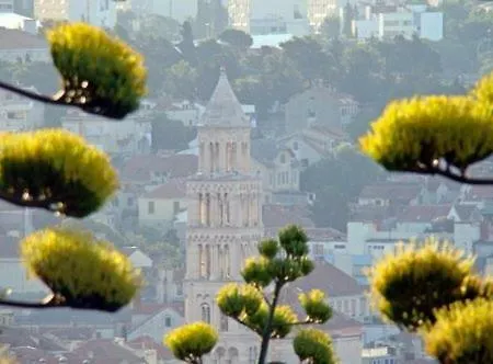 Damjan * Split